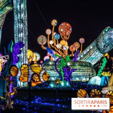 Thoiry Lumières Sauvages 2024, les Voyages Extraordinaires de Jules Verne - photos