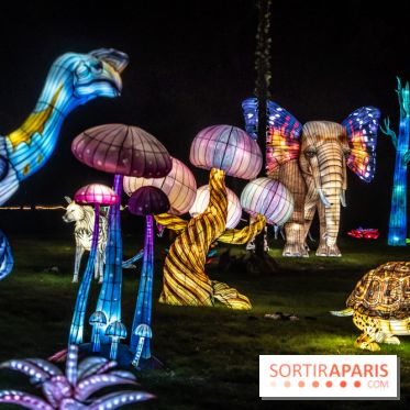 Thoiry Lumières Sauvages 2024, les Voyages Extraordinaires de Jules Verne - photos