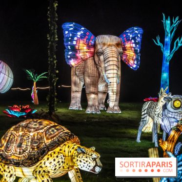 Thoiry Lumières Sauvages 2024, les Voyages Extraordinaires de Jules Verne - photos