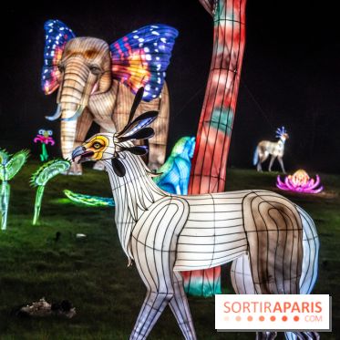 Thoiry Lumières Sauvages 2024, les Voyages Extraordinaires de Jules Verne - photos