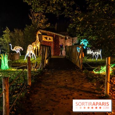 Thoiry Lumières Sauvages 2024, les Voyages Extraordinaires de Jules Verne - photos