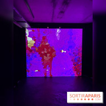 Pixels au Grand Palais Immersif : nos photos de l'exposition qui mêle art numérique et IA - IMG 0932