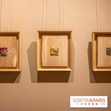 Exposition Les Cimes de l’Asphalte de Duy Anh Nhan Duc à l’Espace Richaud - DSC 2053