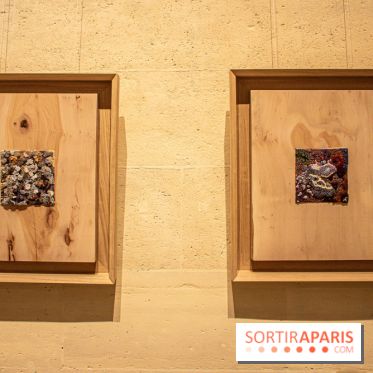 Exposition Les Cimes de l’Asphalte de Duy Anh Nhan Duc à l’Espace Richaud