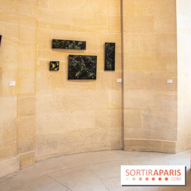 Exposition Les Cimes de l’Asphalte de Duy Anh Nhan Duc à l’Espace Richaud - DSC 2074