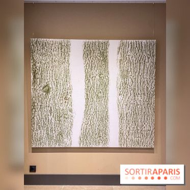 Exposition Les Cimes de l’Asphalte de Duy Anh Nhan Duc à l’Espace Richaud - IMG 1021