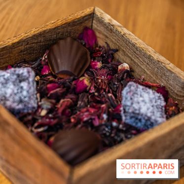 L'Auberge Nicolas Flamel : la plus vieille auberge de Paris et son menu gastronomique -  A7C5380