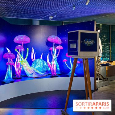 Les vitrines de Noël 2024 de la Samaritaine : Thoiry Lumières Sauvages envahit le grand magasin - Les vitrines de Noël 2024 de la Samaritaine : Thoiry Lumières Sauvages envahit le grand magasin 1125736