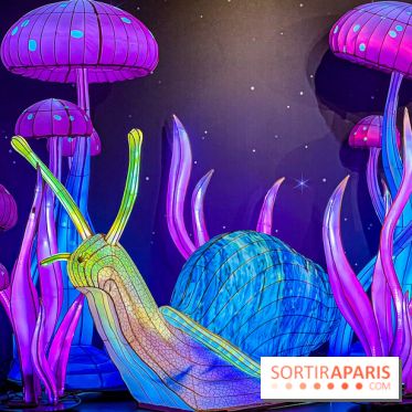 Les vitrines de Noël 2024 de la Samaritaine : Thoiry Lumières Sauvages envahit le grand magasin - Les vitrines de Noël 2024 de la Samaritaine : Thoiry Lumières Sauvages envahit le grand magasin 1125738