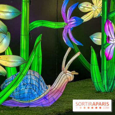 Les vitrines de Noël 2024 de la Samaritaine : Thoiry Lumières Sauvages envahit le grand magasin - Les vitrines de Noël 2024 de la Samaritaine : Thoiry Lumières Sauvages envahit le grand magasin 1125745