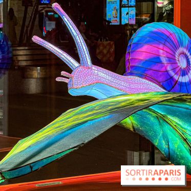 Les vitrines de Noël 2024 de la Samaritaine : Thoiry Lumières Sauvages envahit le grand magasin - Les vitrines de Noël 2024 de la Samaritaine : Thoiry Lumières Sauvages envahit le grand magasin 1125769