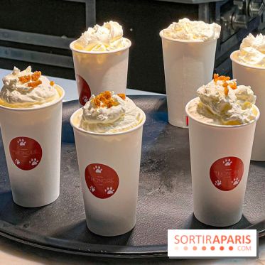 Le Doggy Brunch : le brunch gourmand entre chiens et maîtres à l'hôtel Kimpton Saint Honoré Paris - image00003