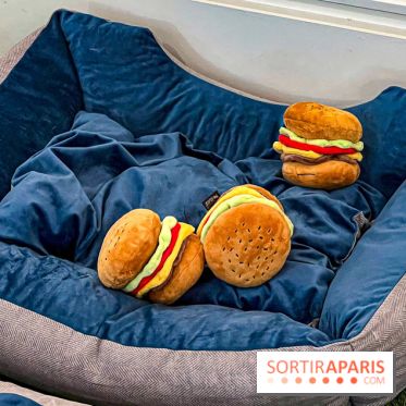 Le Doggy Brunch : le brunch gourmand entre chiens et maîtres à l'hôtel Kimpton Saint Honoré Paris - image00008