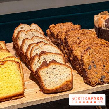 Le Doggy Brunch : le brunch gourmand entre chiens et maîtres à l'hôtel Kimpton Saint Honoré Paris - image00011