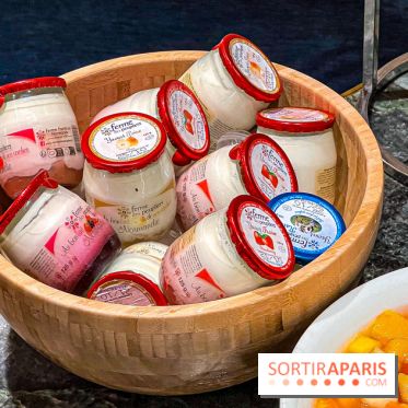 Le Doggy Brunch : le brunch gourmand entre chiens et maîtres à l'hôtel Kimpton Saint Honoré Paris - image00012