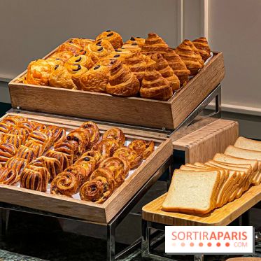 Le Doggy Brunch : le brunch gourmand entre chiens et maîtres à l'hôtel Kimpton Saint Honoré Paris - image00015