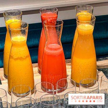 Le Doggy Brunch : le brunch gourmand entre chiens et maîtres à l'hôtel Kimpton Saint Honoré Paris - image00019