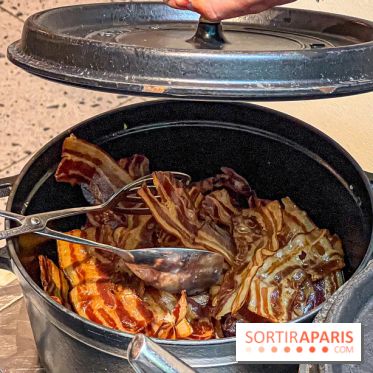 Le Doggy Brunch : le brunch gourmand entre chiens et maîtres à l'hôtel Kimpton Saint Honoré Paris - image00024