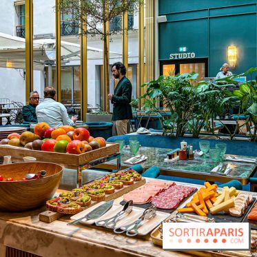 Le Doggy Brunch : le brunch gourmand entre chiens et maîtres à l'hôtel Kimpton Saint Honoré Paris - image00027