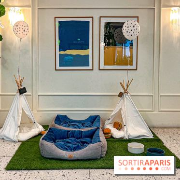 Le Doggy Brunch : le brunch gourmand entre chiens et maîtres à l'hôtel Kimpton Saint Honoré Paris - image00029