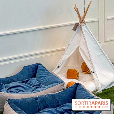 Le Doggy Brunch : le brunch gourmand entre chiens et maîtres à l'hôtel Kimpton Saint Honoré Paris - image00030