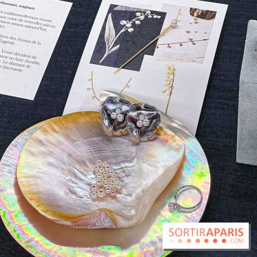 L'exposition gratuite des bijoux de la Maison de Haute-Joaillerie Vever rue de la Paix, à Paris  - image00031