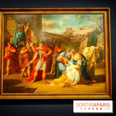 Guillon Lethière, né à la Guadeloupe : l'exposition rétrospective du musée du Louvre se dévoile - IMG20241112152217