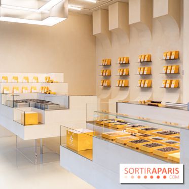 La chocolaterie William Artigue et ses chocolats de Noël 2024 -  A7C5846