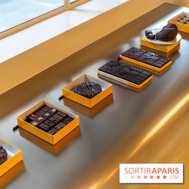 La chocolaterie William Artigue et ses chocolats de Noël 2024 -  A7C5848