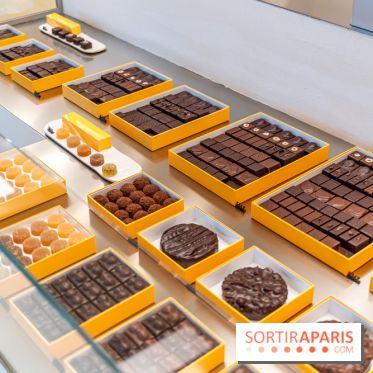 La chocolaterie William Artigue et ses chocolats de Noël 2024 -  A7C5849