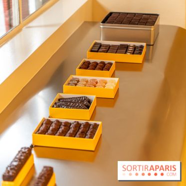 La chocolaterie William Artigue et ses chocolats de Noël 2024 -  A7C5851