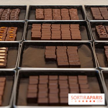 La chocolaterie William Artigue et ses chocolats de Noël 2024 -  A7C5853