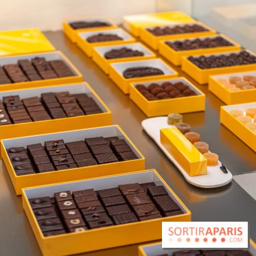 La chocolaterie William Artigue et ses chocolats de Noël 2024 -  A7C5854