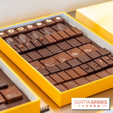 La chocolaterie William Artigue et ses chocolats de Noël 2024 -  A7C5855