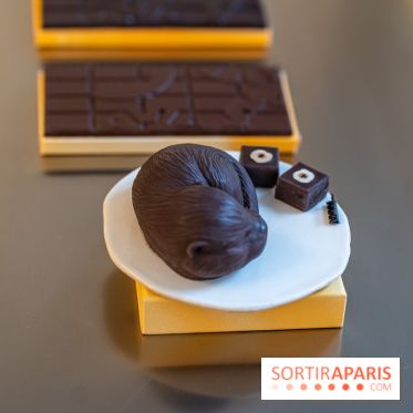La chocolaterie William Artigue et ses chocolats de Noël 2024