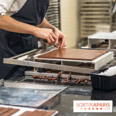 La chocolaterie William Artigue et ses chocolats de Noël 2024 -  A7C5857