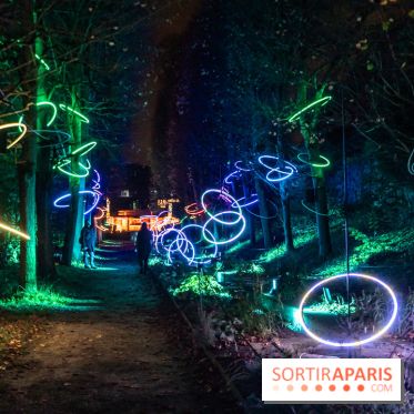 Lumières en Seine 2024, le parcours de lumières féérique et animé  -  A7C6721