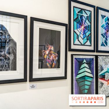 Le festival Street-art de la Poste du Louvre 2024, les photos -  A7C6914