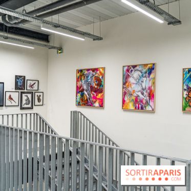 Le festival Street-art de la Poste du Louvre 2024, les photos -  Matthieu 1976