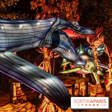 Jurassique en voir d'illumination, le parcours de lumières du jardin d'acclimatation 2024, les photos  -  A7C6982