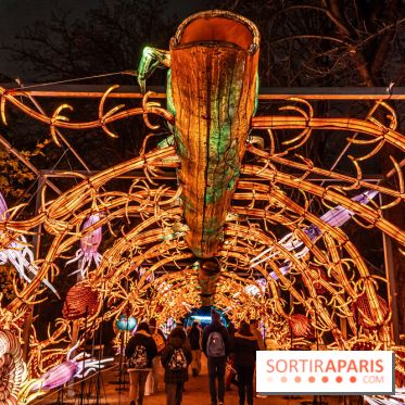 Jurassique en voir d'illumination, le parcours de lumières du jardin d'acclimatation 2024, les photos  -  A7C6987