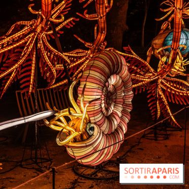 Jurassique en voir d'illumination, le parcours de lumières du jardin d'acclimatation 2024, les photos  -  A7C6989