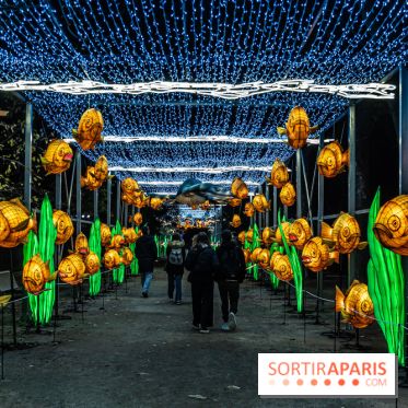 Jurassique en voir d'illumination, le parcours de lumières du jardin d'acclimatation 2024, les photos  -  A7C6998