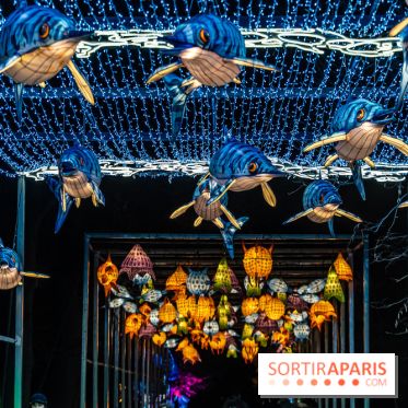 Jurassique en voir d'illumination, le parcours de lumières du jardin d'acclimatation 2024, les photos  -  A7C7003