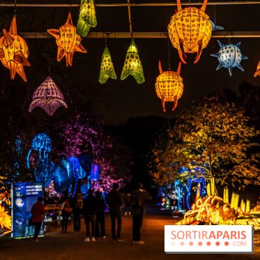 Jurassique en voir d'illumination, le parcours de lumières du jardin d'acclimatation 2024, les photos  -  A7C7010