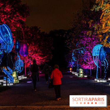 Jurassique en voir d'illumination, le parcours de lumières du jardin d'acclimatation 2024, les photos  -  A7C7011