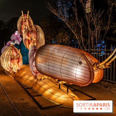 Jurassique en voir d'illumination, le parcours de lumières du jardin d'acclimatation 2024, les photos  -  A7C7022