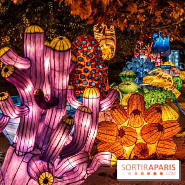 Jurassique en voir d'illumination, le parcours de lumières du jardin d'acclimatation 2024, les photos  -  A7C7028