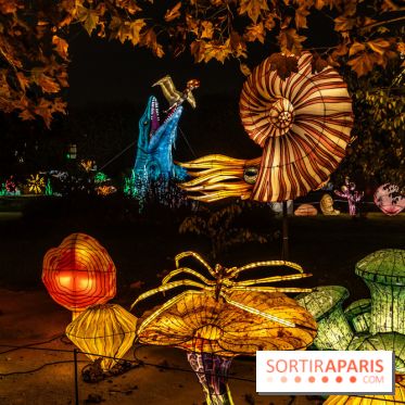 Jurassique en voir d'illumination, le parcours de lumières du jardin d'acclimatation 2024, les photos  -  A7C7029