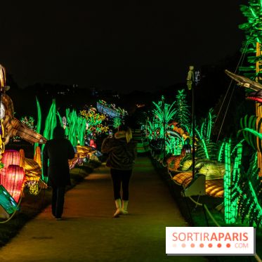 Jurassique en voir d'illumination, le parcours de lumières du jardin d'acclimatation 2024, les photos  -  A7C7048